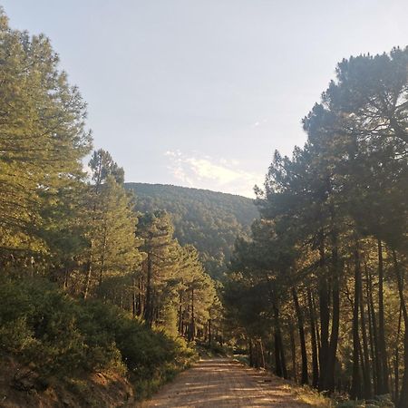 Bonita Casa En El Bosque - El Tiemblo Villa Екстериор снимка