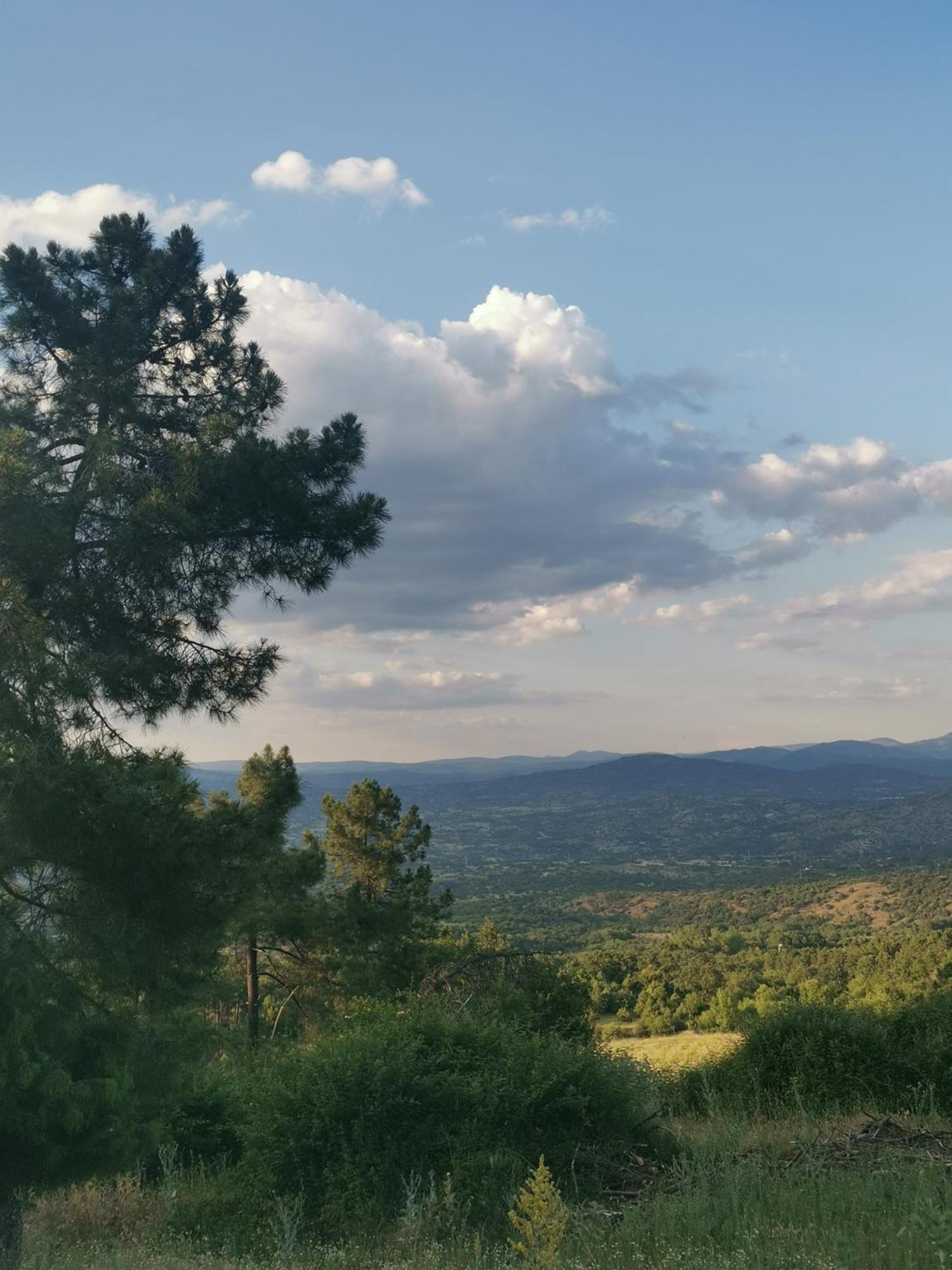 Bonita Casa En El Bosque - El Tiemblo Villa Екстериор снимка
