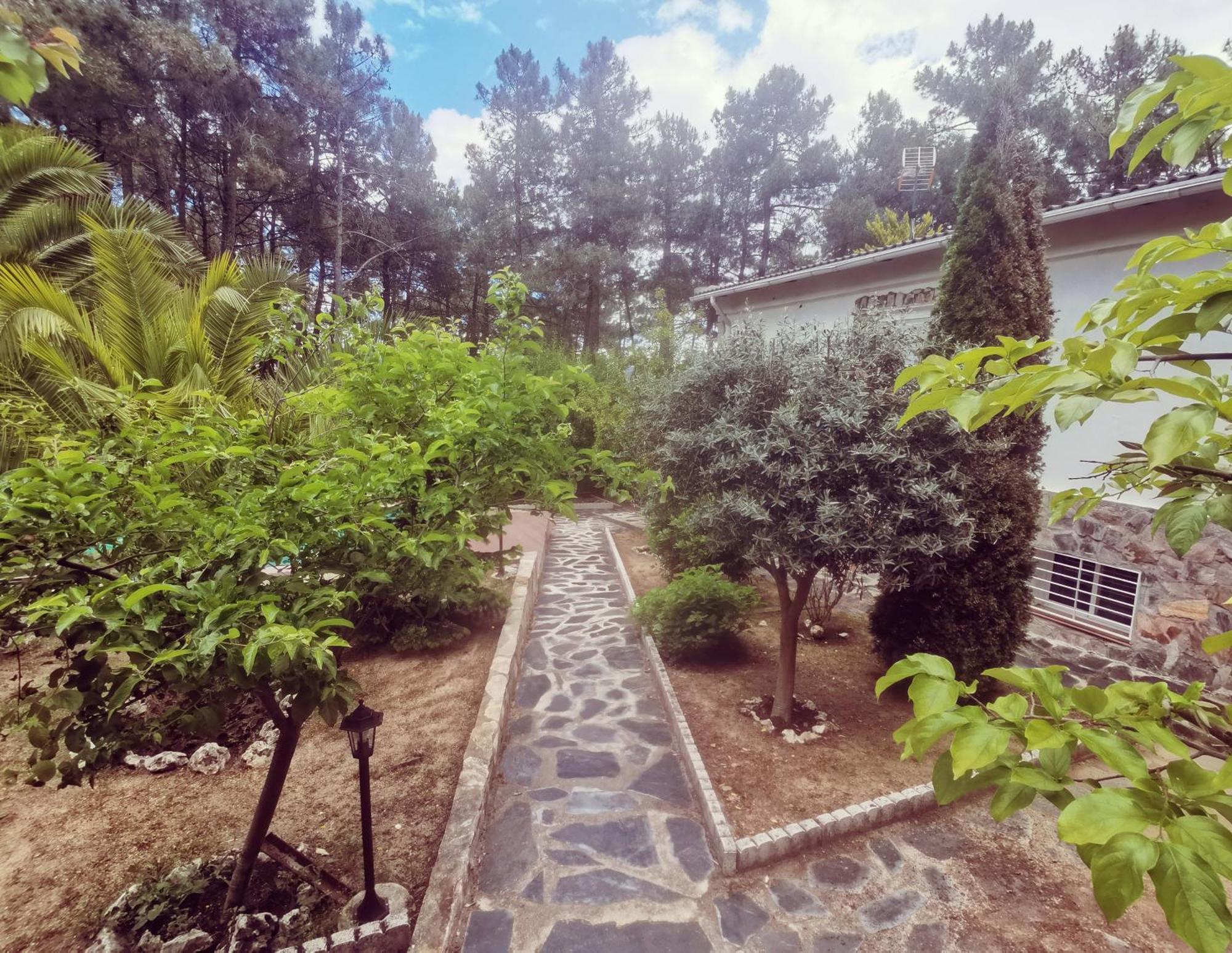 Bonita Casa En El Bosque - El Tiemblo Villa Екстериор снимка
